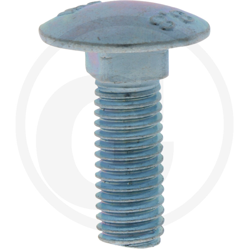 Din 603 8.8 M10X30 V Flachrundschraube
